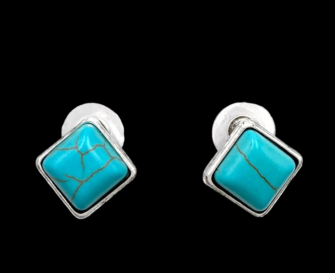 The Dallas Earrings