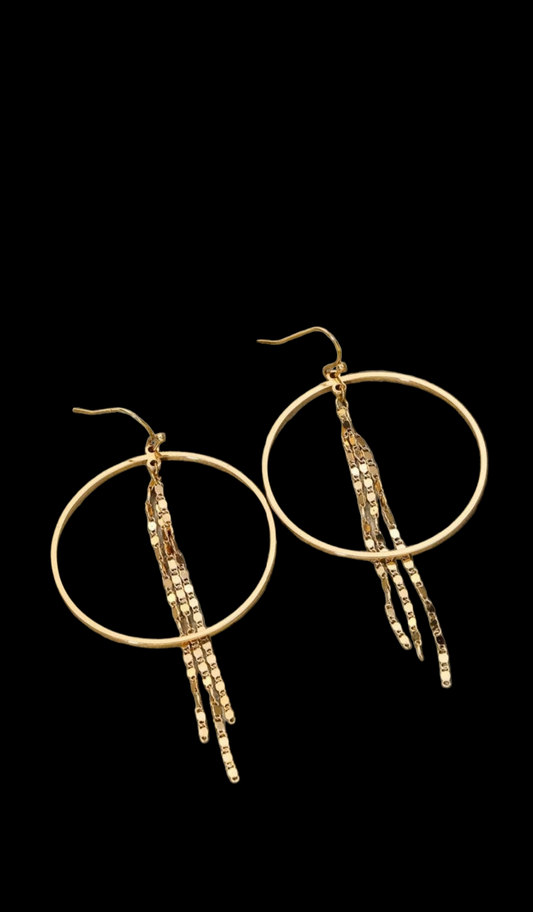 Circle Chain Fringe Earrings